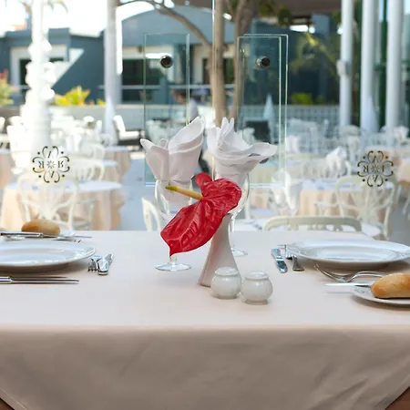 アドリアン ホテルス コロン グアナハニ（大人専用） 4* アデヘ