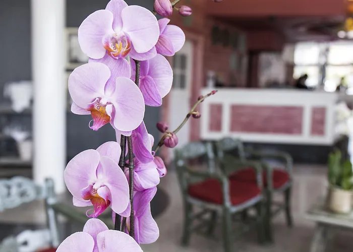 Adrian Colon Guanahani Adultos Only Hotel 4*